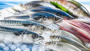 青魚の種類は全部で何種類？御三家から隠れ青魚まで旬・栄養・見分け方を完全網羅のアイキャッチ画像
