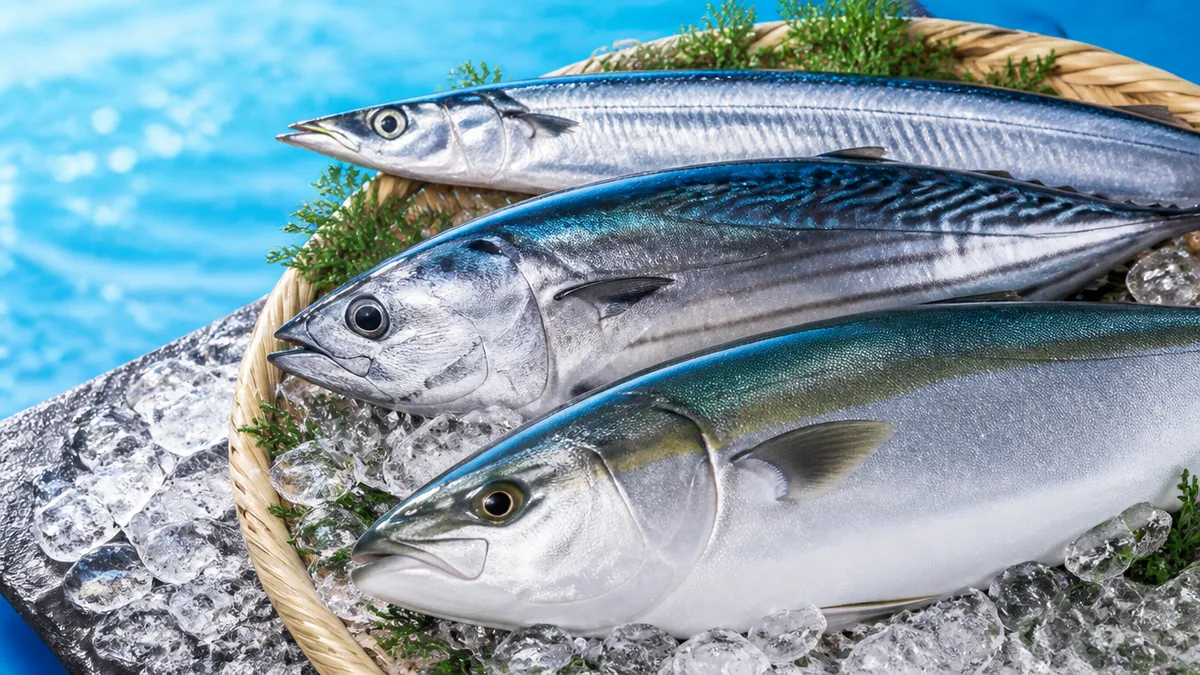 サンマ・カツオ・ブリ｜旬を知れば3倍おいしくなる青魚たちの解説画像