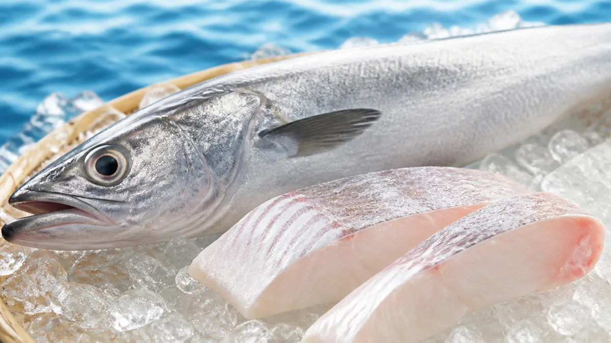 メルルーサはタラ目メルルーサ科の深海魚｜日本の食卓を陰で支える白身魚の解説画像
