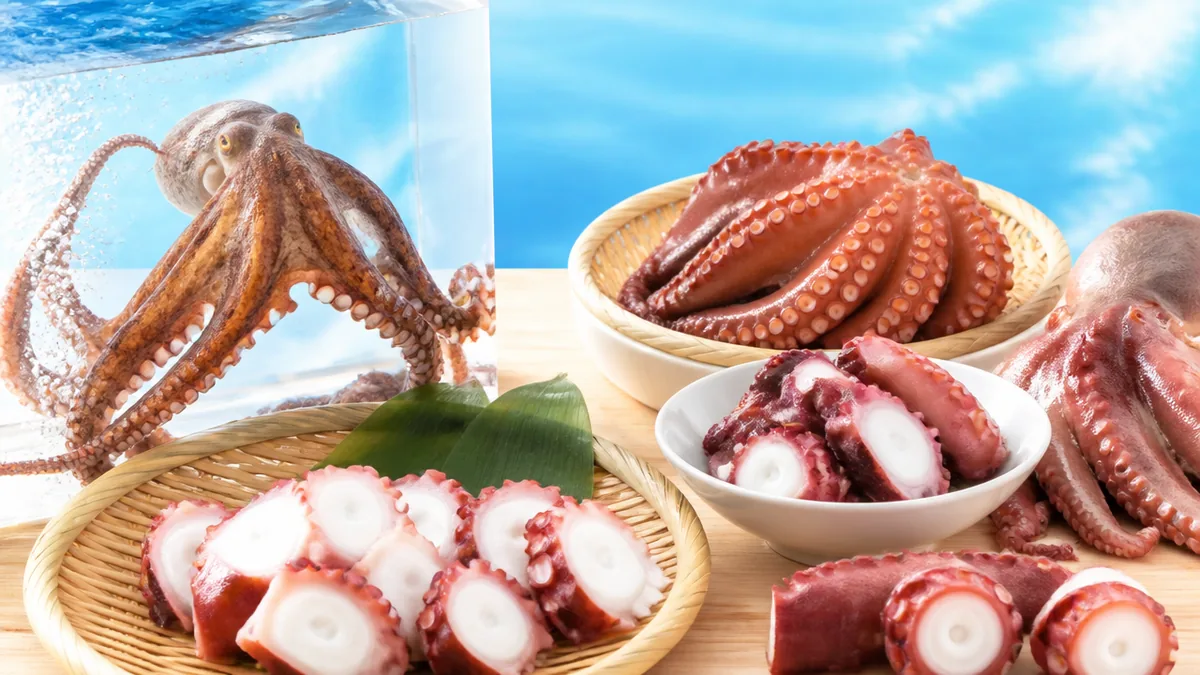 たこの数え方は全部で5種類｜匹・杯・連・本・個を状態別に使い分けるの解説画像