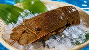 セミエビの値段は1kg約1万円｜伊勢海老より高い高級エビの相場と理由を徹底解説のアイキャッチ画像