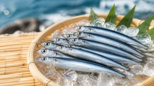 きびなごは出世魚ではない｜10cmで成長が止まる小魚が誤解される本当の理由のアイキャッチ画像