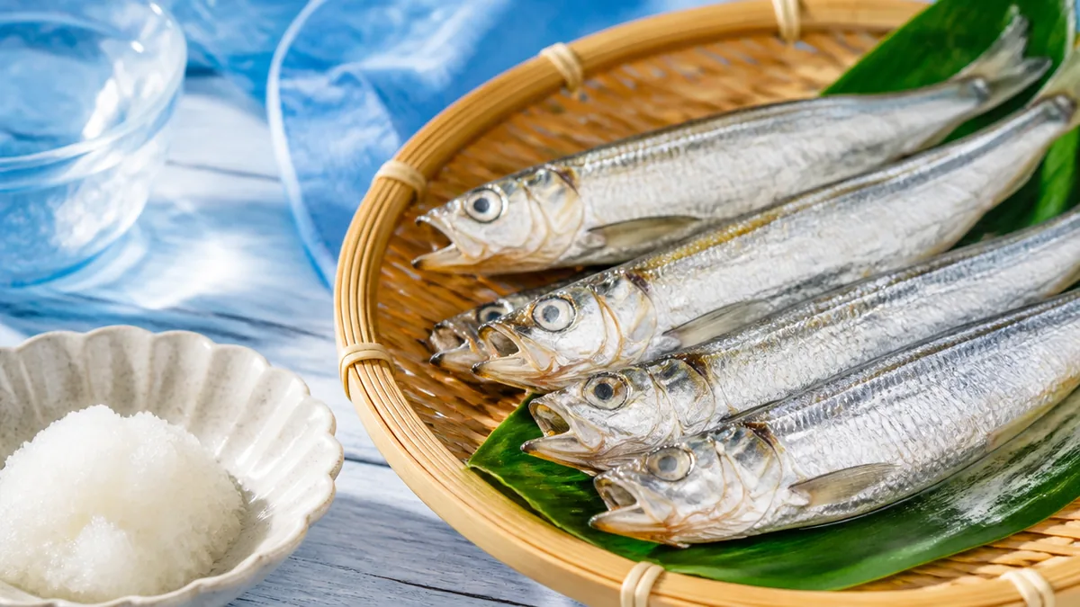 DHA・EPAで知る青魚パワー|めざしの脂に隠れた働きの解説画像