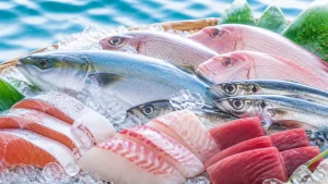 魚の数え方は匹・尾・本・枚・杯の5つが基本｜状態で変わる助数詞を一覧で解説のアイキャッチ画像