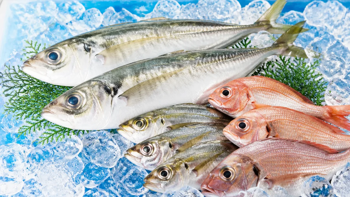 魚の数え方は「匹」と「尾」から覚える|迷ったときの基本ルールの解説画像