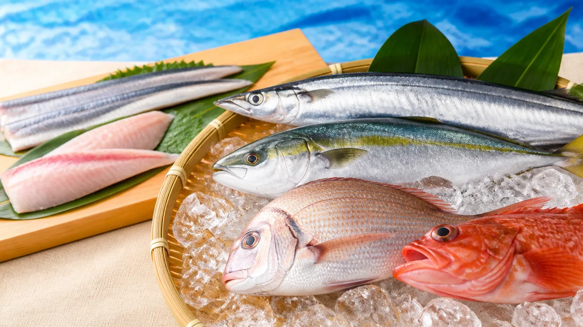 細長い魚は「本」、平たい魚は「枚」|姿で決まる助数詞の見分け方の解説画像