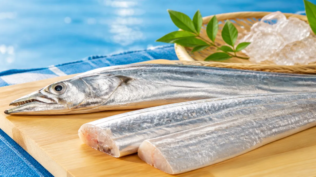 太刀魚の骨が「食べやすい」と言われる本当の理由の解説画像