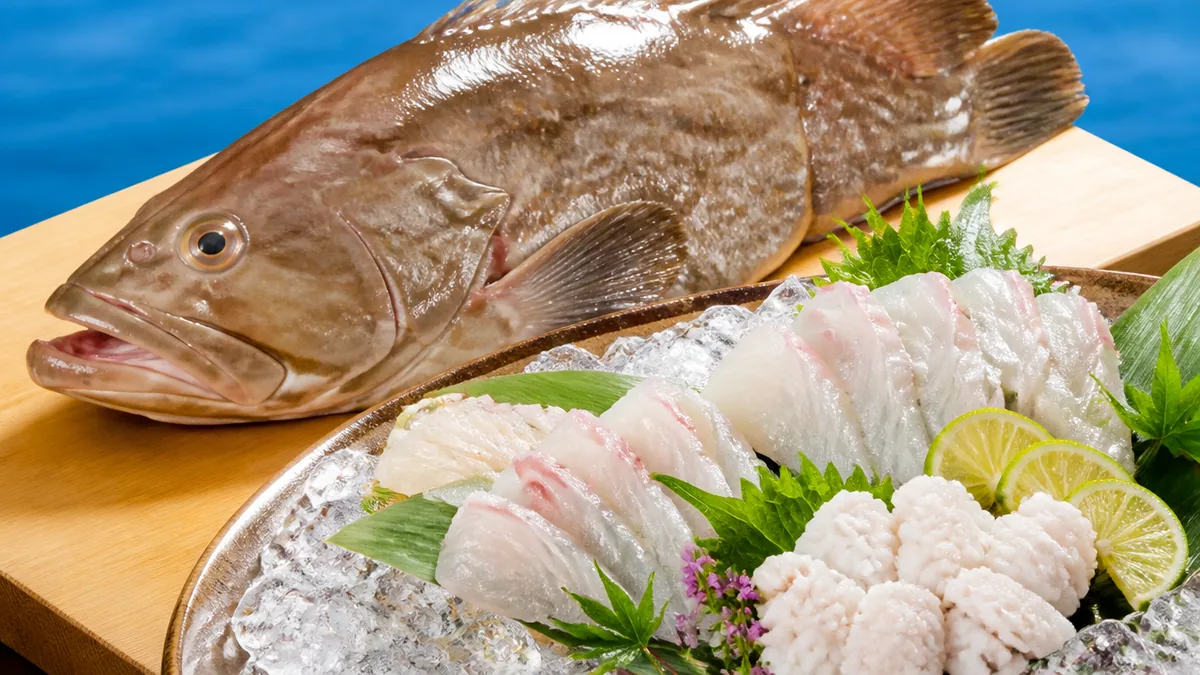 クエの食べ方は鍋・刺身・湯引きの3本柱｜まずは旬と特徴を押さえるの解説画像