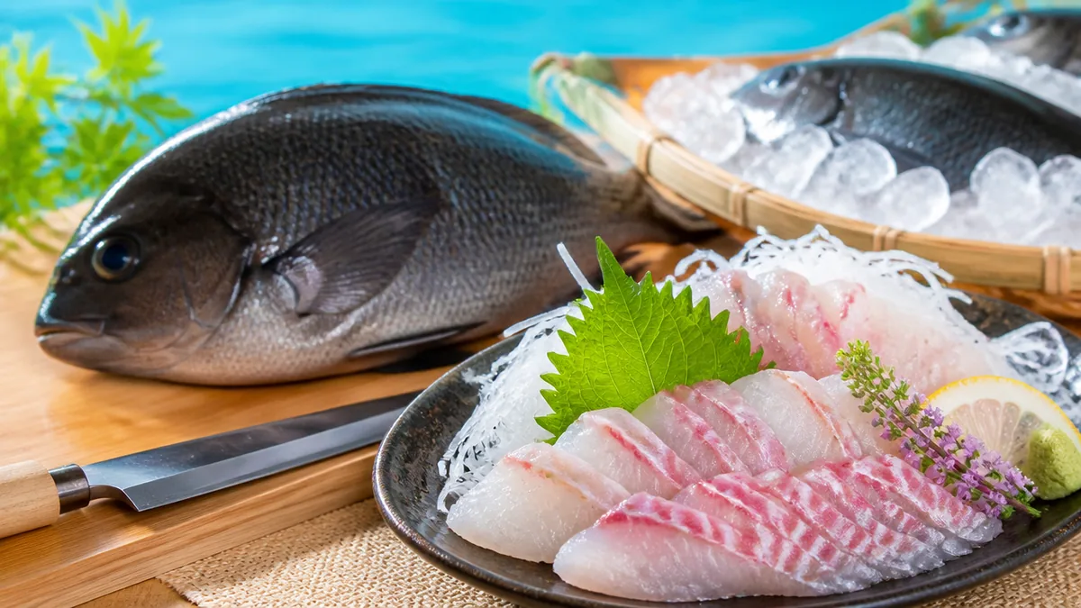 メジナの刺身がまずいのは夏だけ｜冬の寒グレが鯛に勝る理由と臭みを消す下処理のアイキャッチ画像