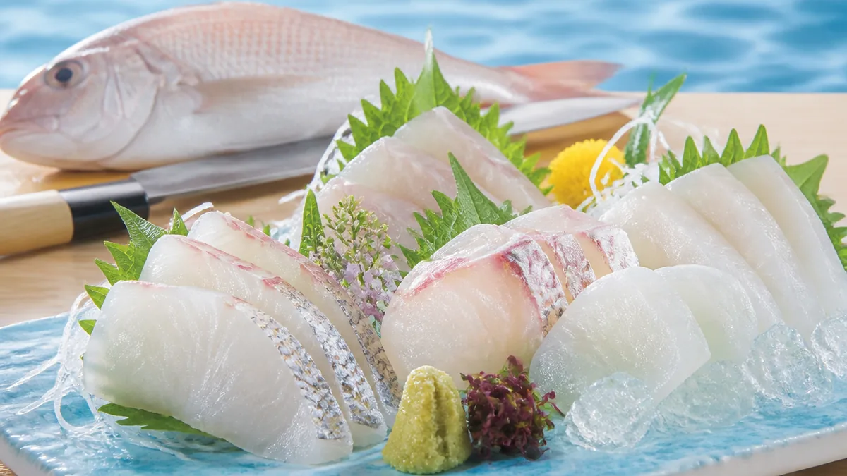 白身魚ってそもそも何？赤身魚との違いは「筋肉の色素」で決まるの解説画像
