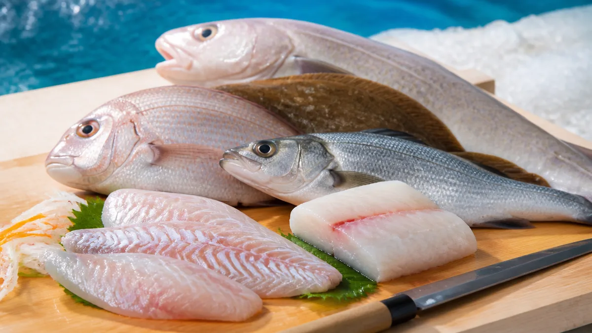 釣り人にも人気｜ちょっと通好みの白身魚4選の解説画像