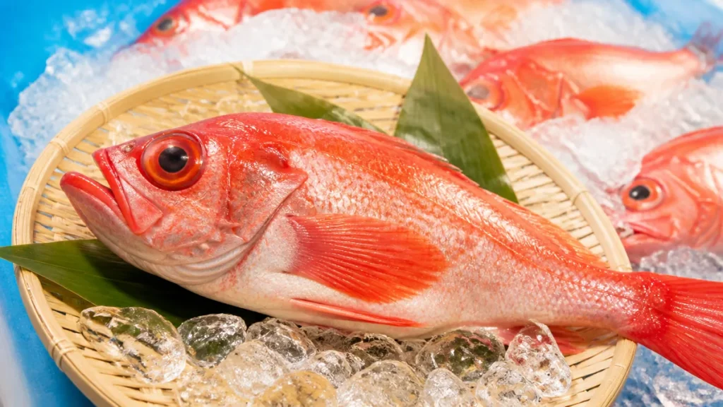 赤魚とは何の魚？正体は3種類｜アラスカメヌケ・アコウダイとの違いを丸ごと解説のアイキャッチ画像