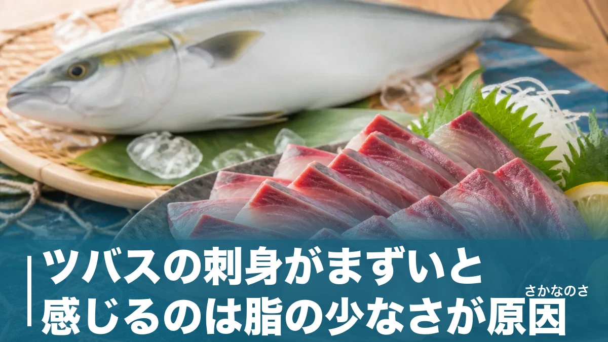 ツバスの刺身がまずいと感じるのは脂の少なさが原因｜若ブリを化けさせる下処理と食べ方のアイキャッチ画像