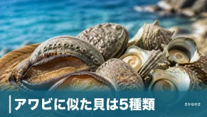 アワビに似た貝は5種類｜トコブシ・サザエ・ロコ貝の見分け方を穴の数とフタで解説のアイキャッチ画像