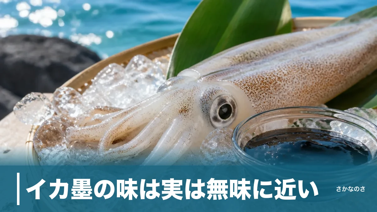 イカ墨の味は実は無味に近い|コクと磯の香りを生むアミノ酸の正体を解説のアイキャッチ画像