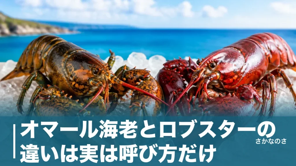 オマール海老とロブスターの違いは実は呼び方だけ｜フランス語と英語・種類・味を丸ごと解説のアイキャッチ画像