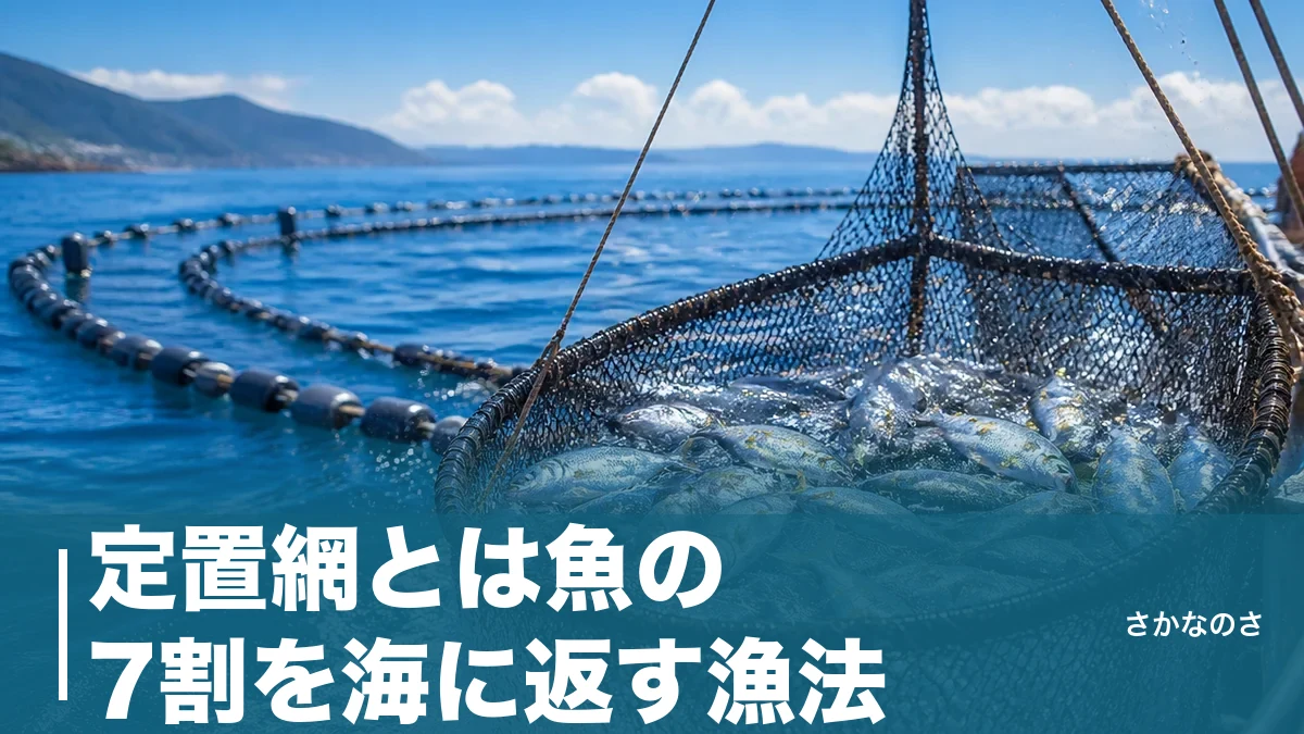 定置網とは魚の7割を海に返す漁法|400年続く仕組み・獲れる魚・環境にやさしい理由を解説のアイキャッチ画像