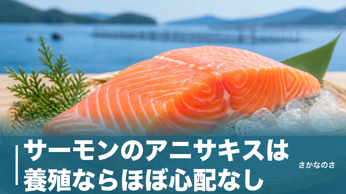 サーモンのアニサキスは養殖ならほぼ心配なし｜天然サケとの違いと安全に食べる4つの対策を解説のアイキャッチ画像