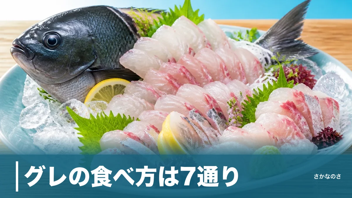 グレの食べ方は7通り｜冬の寒グレは刺身、夏は塩焼きが正解と旬別に解説のアイキャッチ画像