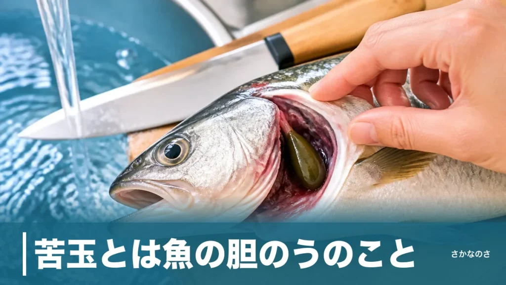 苦玉とは魚の胆のうのこと｜潰すと身が苦くなる正体と失敗しない取り方を丸ごと解説のアイキャッチ画像