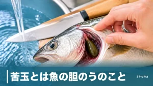苦玉とは魚の胆のうのこと｜潰すと身が苦くなる正体と失敗しない取り方を丸ごと解説のアイキャッチ画像