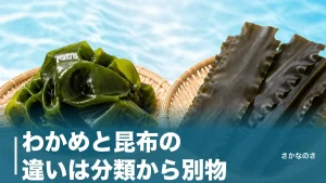 わかめと昆布の違いは分類から別物｜栄養・だし・旬を7つの視点で徹底比較のアイキャッチ画像