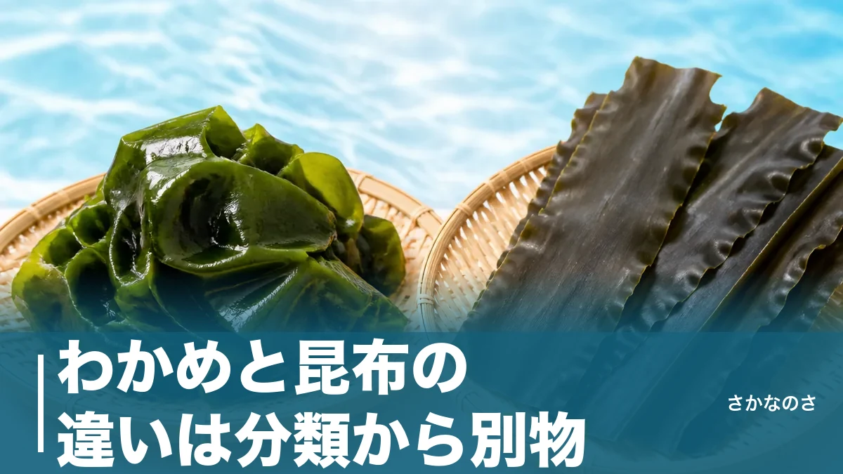 わかめと昆布の違いは分類から別物｜栄養・だし・旬を7つの視点で徹底比較のアイキャッチ画像