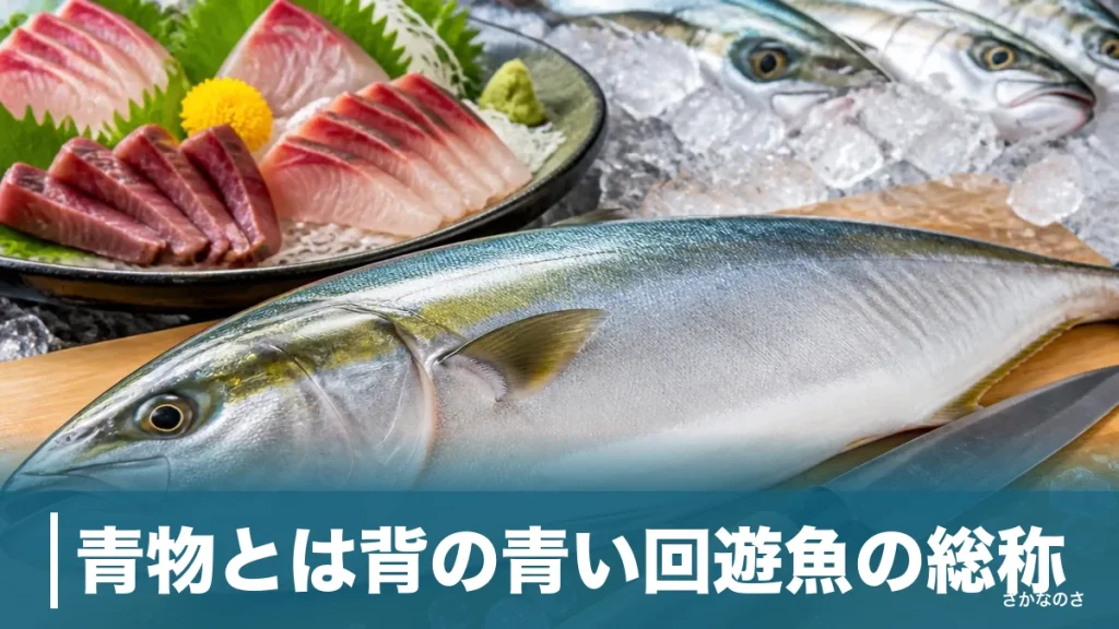 青物とは背の青い回遊魚の総称｜御三家の見分け方と青魚との違いを丸ごと解説のアイキャッチ画像