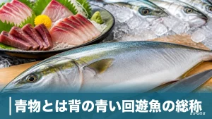 青物とは背の青い回遊魚の総称｜御三家の見分け方と青魚との違いを丸ごと解説のアイキャッチ画像