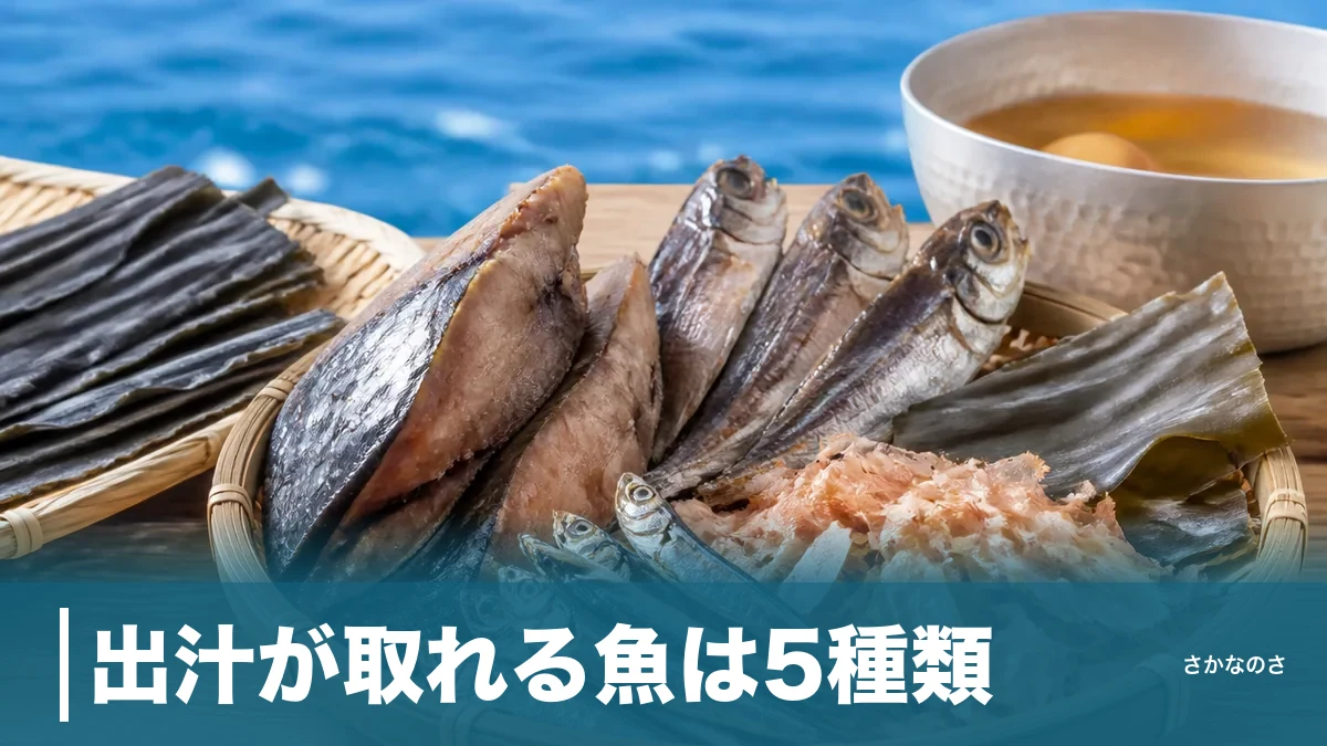 出汁が取れる魚は5種類｜鰹・煮干し・あご・サバ・宗田の旨味と使い分けを丸ごと解説のアイキャッチ画像