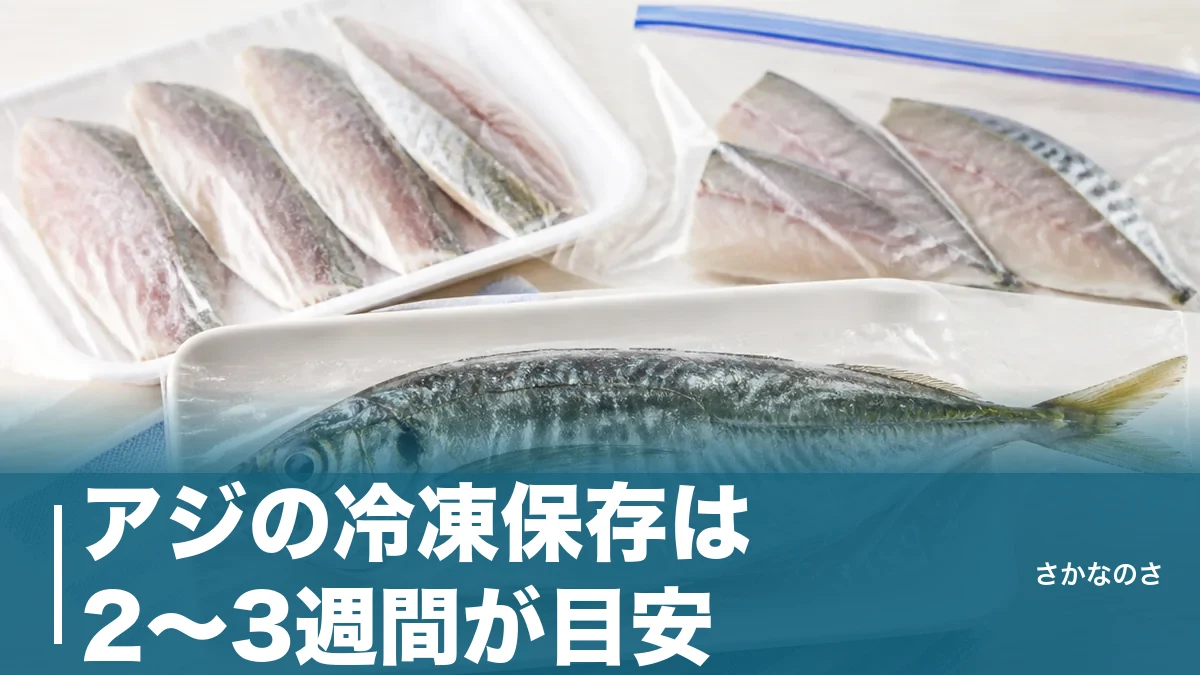 アジの冷凍保存は2〜3週間が目安｜下処理・解凍・下味冷凍で失敗しないコツを解説のアイキャッチ画像