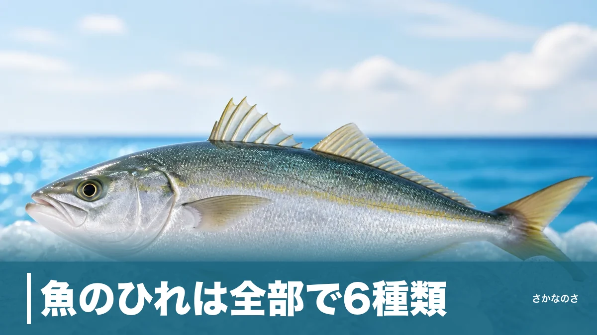 魚のひれは全部で6種類｜背びれ・胸びれ・尾びれの役割と毒・食べ方まで丸ごと解説のアイキャッチ画像