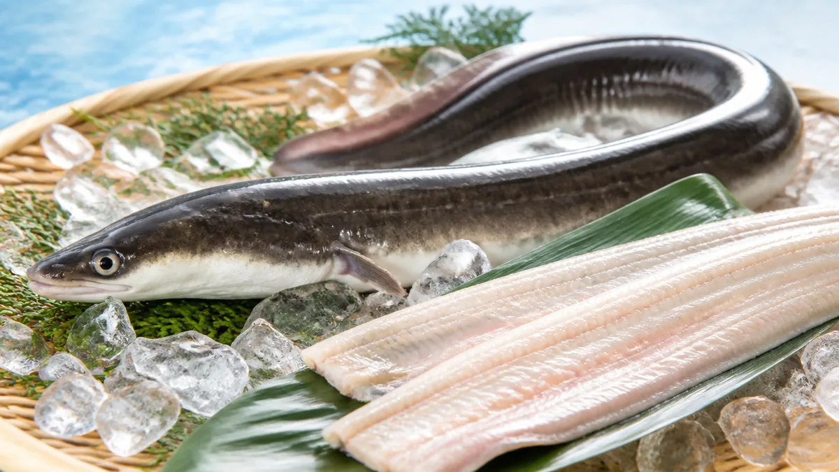 鱗のない魚とは？ウナギ・タチウオ・ナマズが体を守る意外な仕組みを徹底解説のアイキャッチ画像