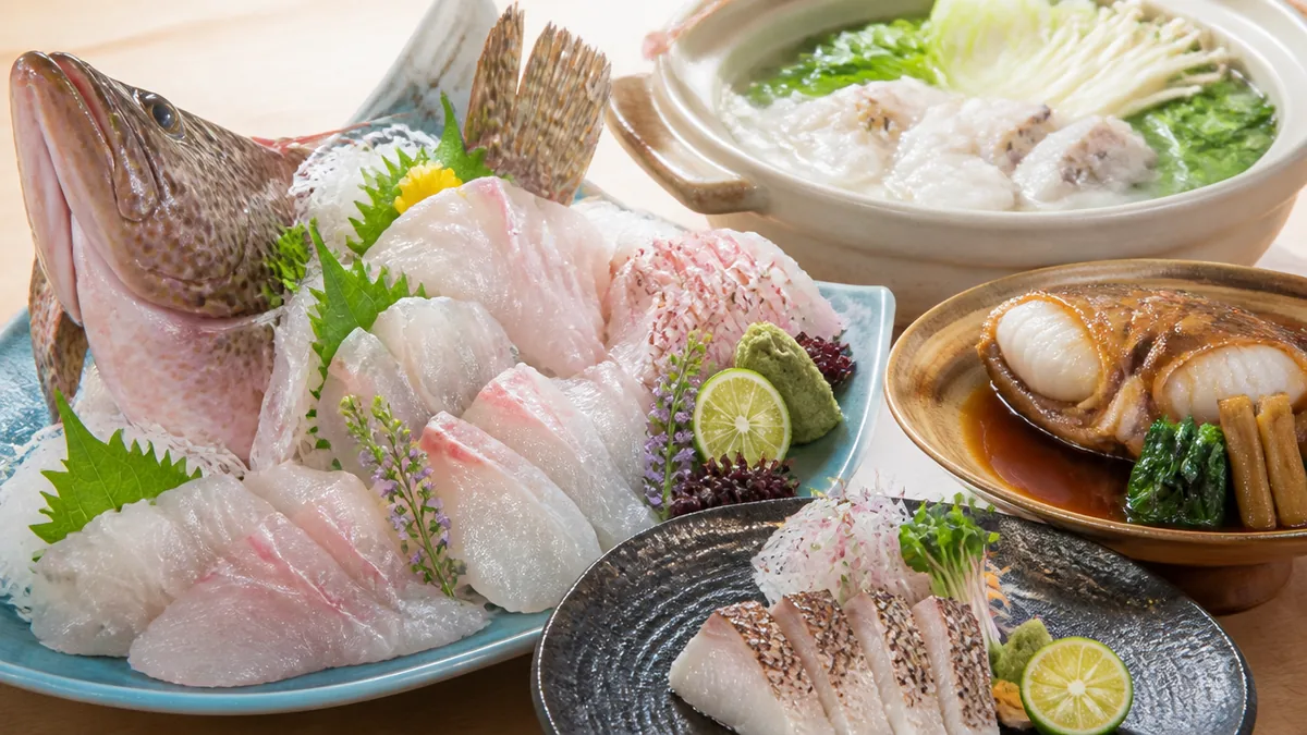 オオモンハタの食べ方は刺身と加熱で二度おいしい｜まず知っておきたい基本の解説画像