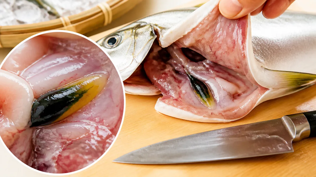 苦玉とは魚の胆のうのこと｜正体と「なぜ苦いのか」を丸ごと解説の解説画像