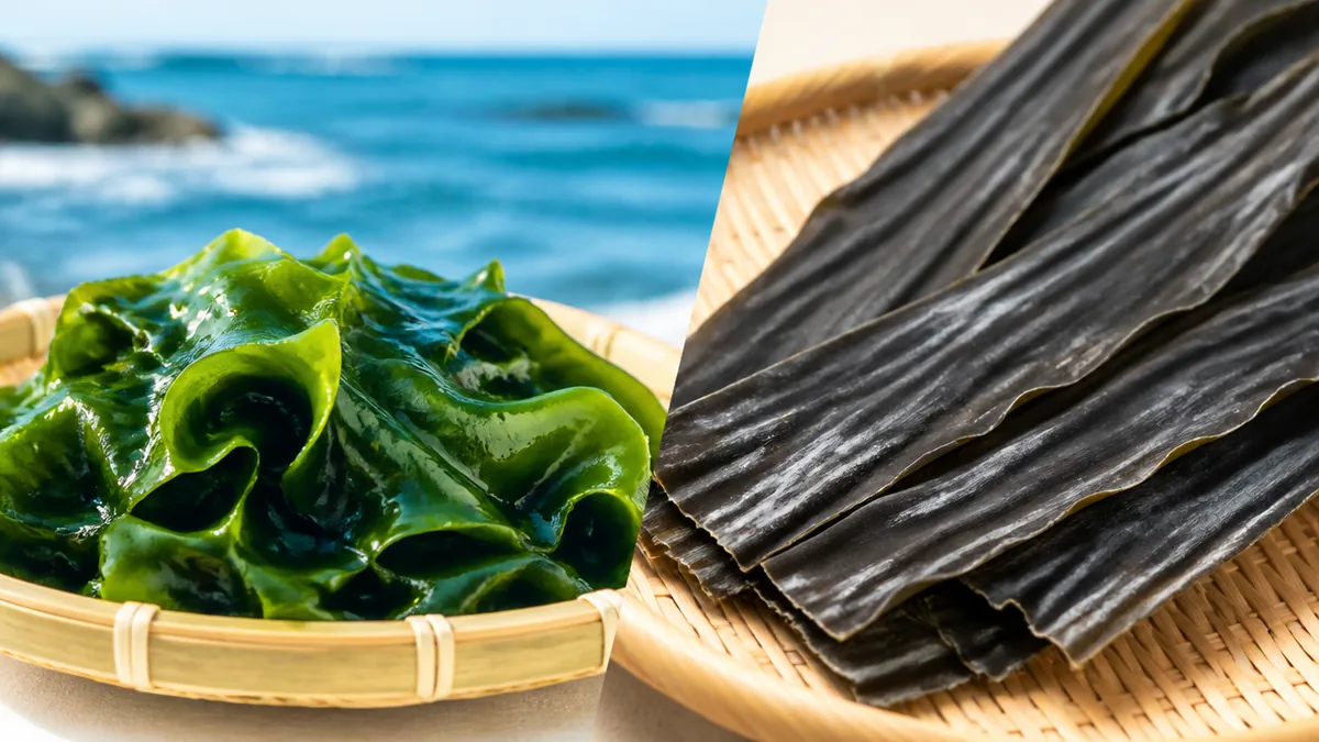 わかめと昆布の違いは「科」から別物｜まず押さえる3つの基本の解説画像