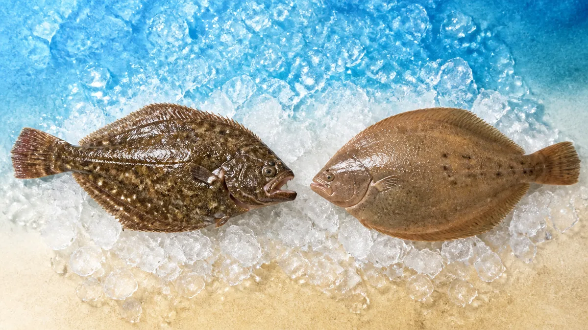 なぜ体が平たく目が片側に寄るのか｜孵化から50日の変身の解説画像