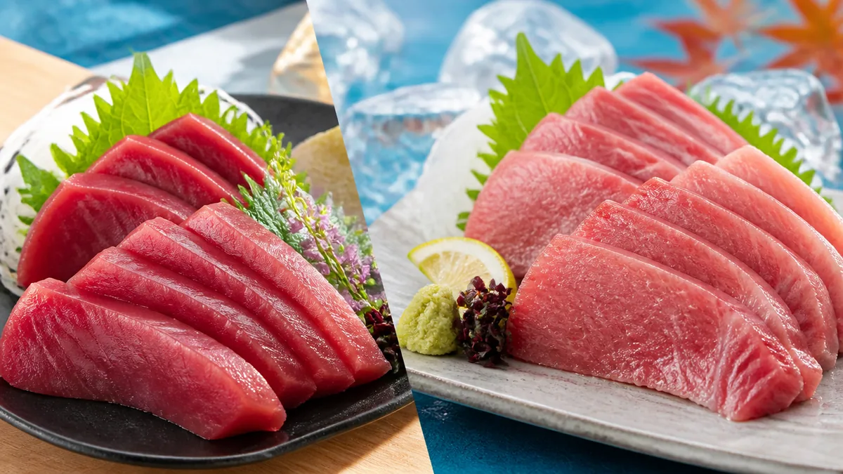 春と秋でこんなに違う|初鰹と戻り鰹の体つきと脂の解説画像