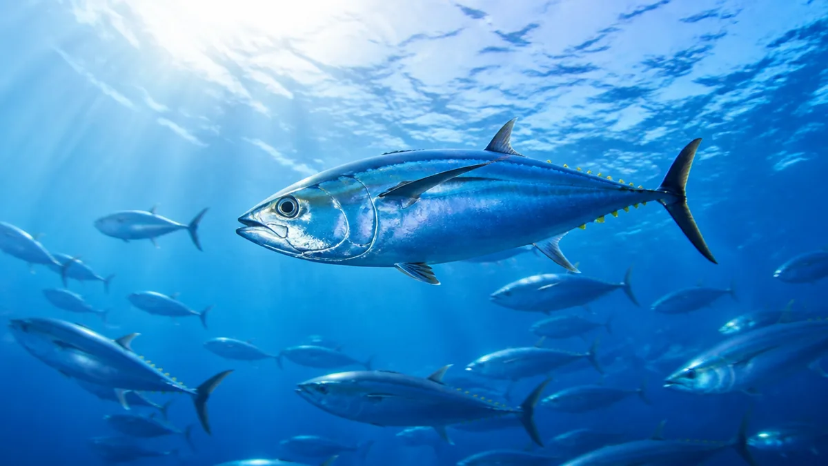 魚類体温は水温とほぼ同じ｜変温動物が体を温められない理由の解説画像