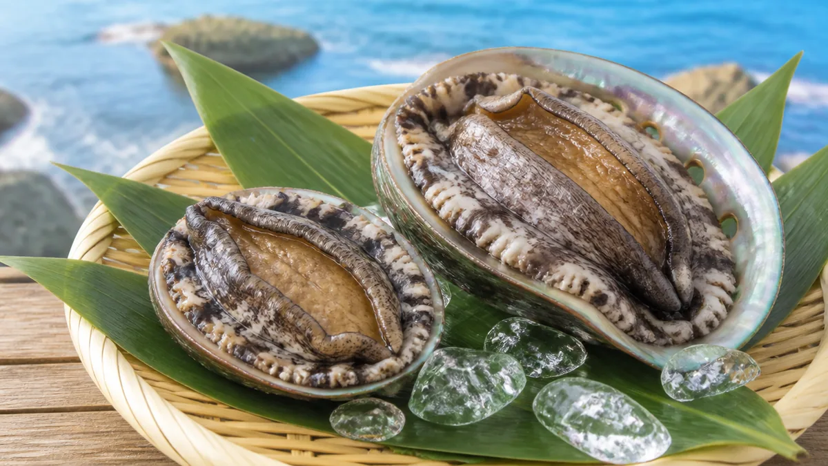 トコブシとアワビの違いは殻の穴の数｜大きさ・味・旬・栄養を7つの視点で徹底比較のアイキャッチ画像