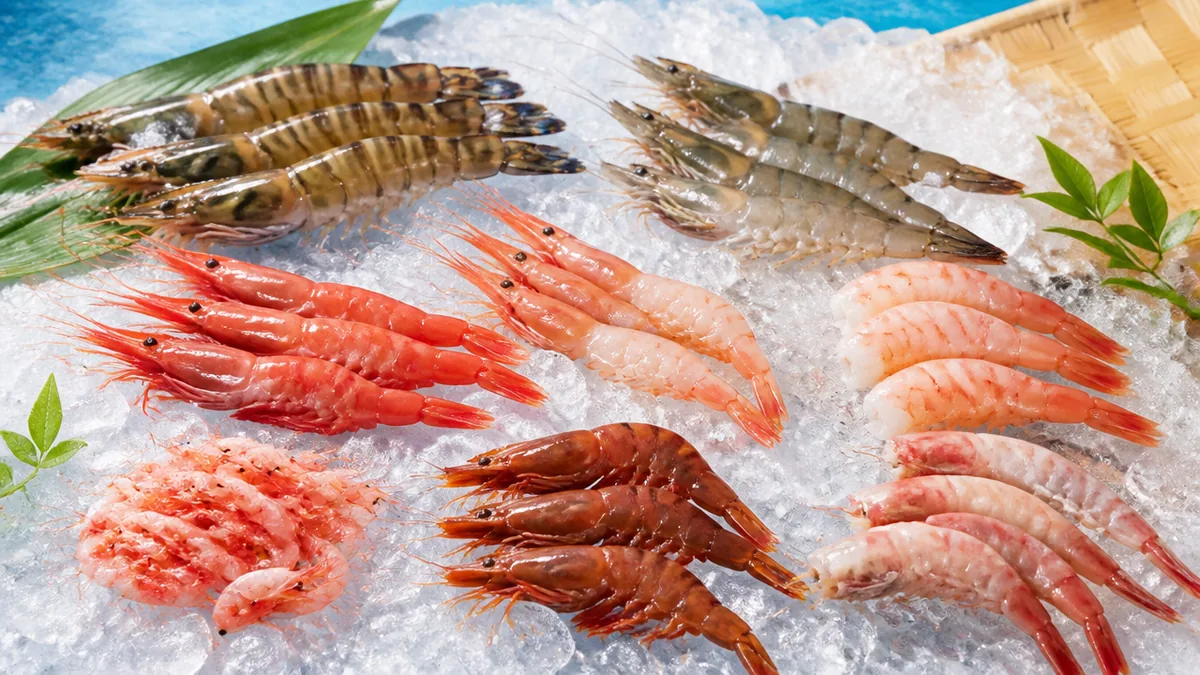 エビの種類は世界に約3000種|日本の食卓に並ぶのは主に8種類の解説画像