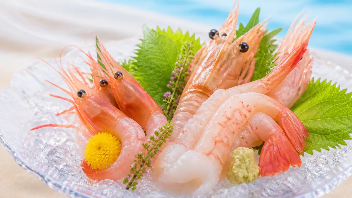 生で味わう深海の宝石|甘エビとボタンエビの解説画像