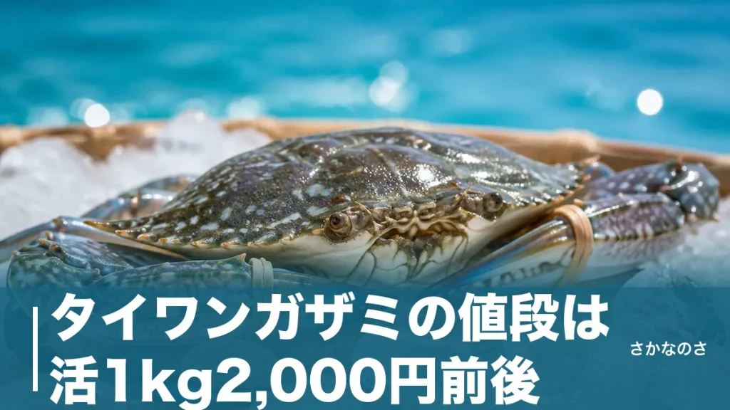 タイワンガザミの値段は活1kg2,000円前後｜ガザミの半値で買える理由と買い時を解説のアイキャッチ画像