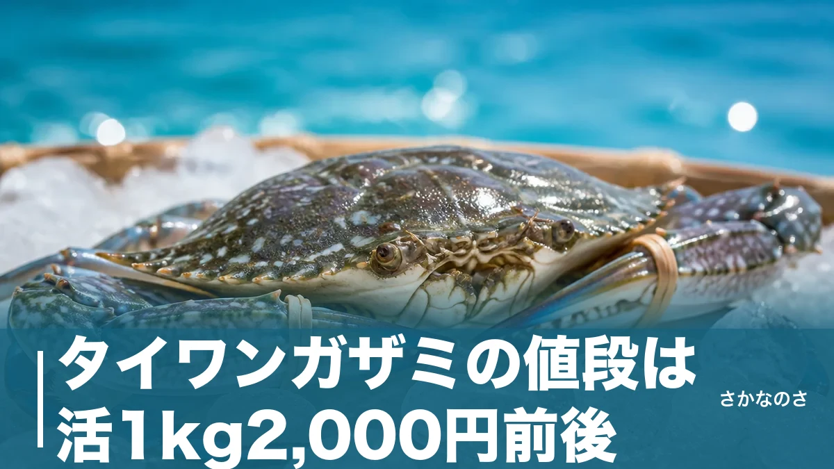 タイワンガザミの値段は活1kg2,000円前後｜ガザミの半値で買える理由と買い時を解説のアイキャッチ画像