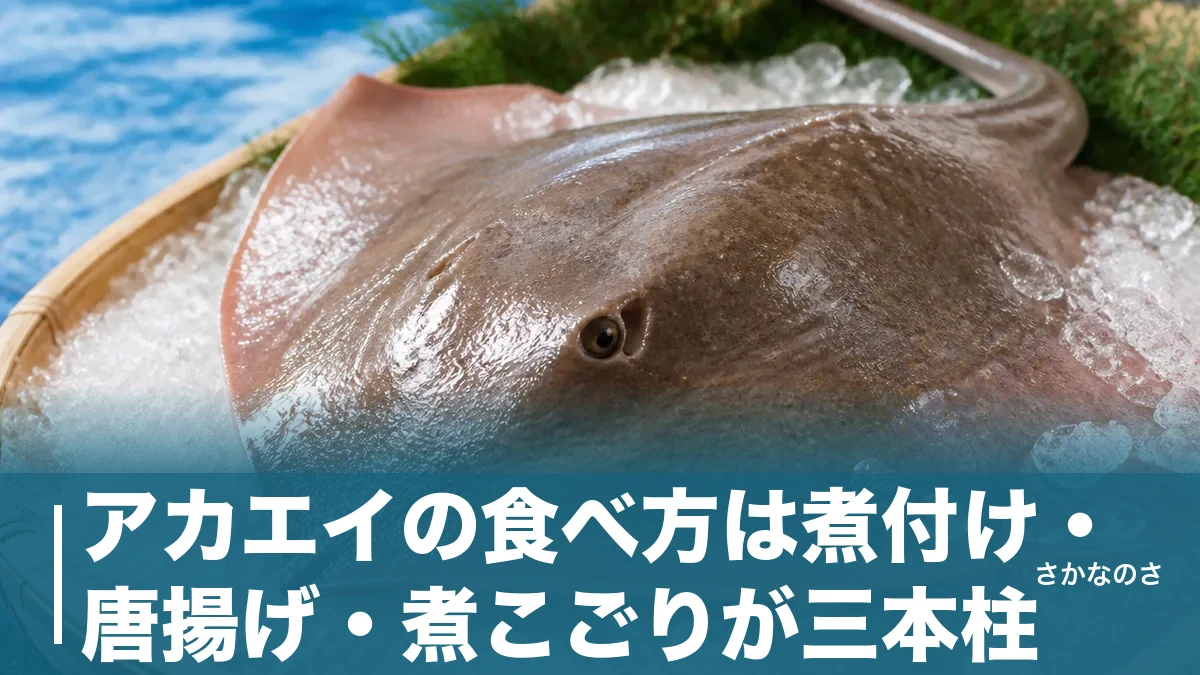 アカエイの食べ方は煮付け・唐揚げ・煮こごりが三本柱｜臭みを消す下処理と毒棘の扱いまで解説のアイキャッチ画像