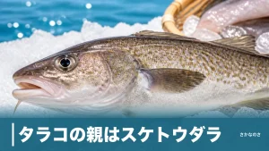 タラコの親はスケトウダラ｜マダラの卵が使われない理由と見分け方を丸ごと解説のアイキャッチ画像