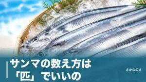 サンマの数え方は「匹」でいいの？匹・尾・本・枚・連の5つを場面別に解説のアイキャッチ画像