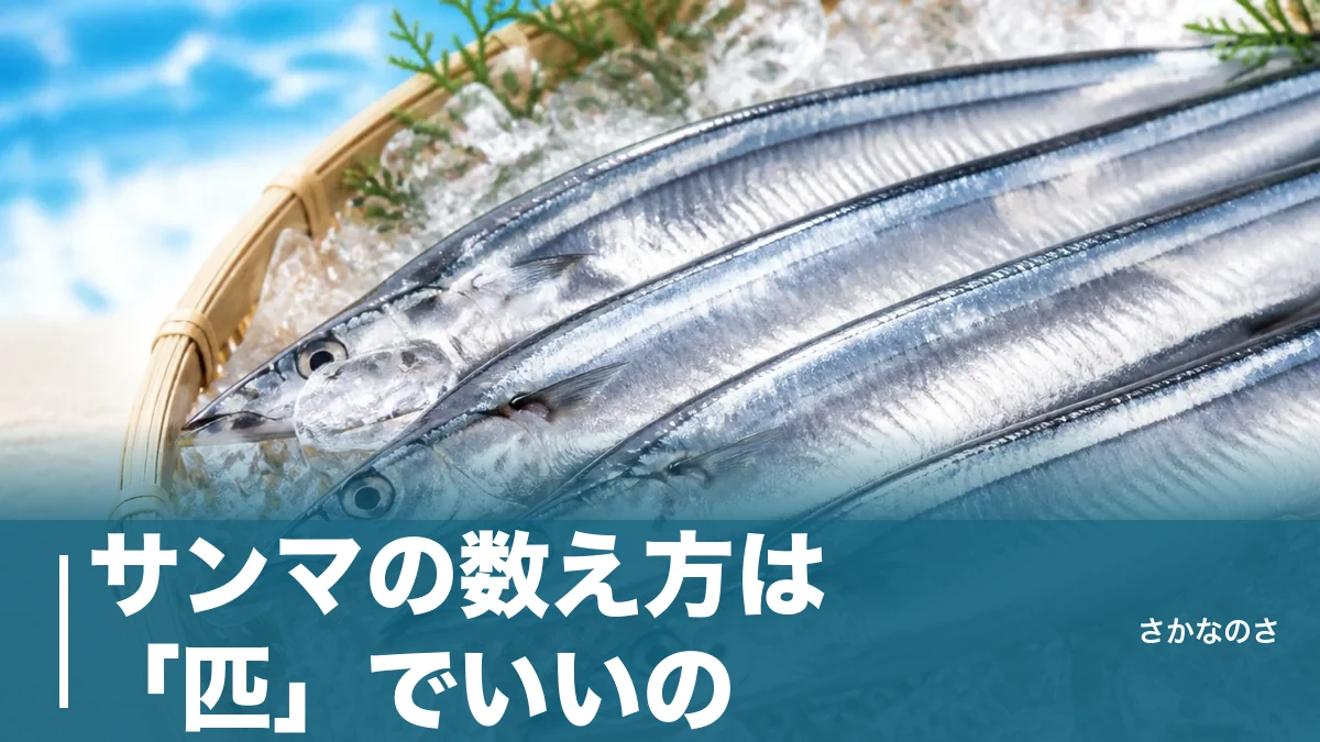 サンマの数え方は「匹」でいいの？匹・尾・本・枚・連の5つを場面別に解説のアイキャッチ画像