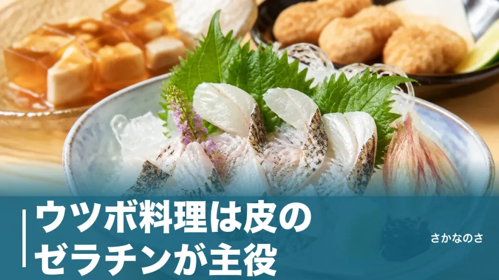 ウツボ料理は皮のゼラチンが主役｜たたき・唐揚げ・煮こごりを旬と下処理から解説のアイキャッチ画像