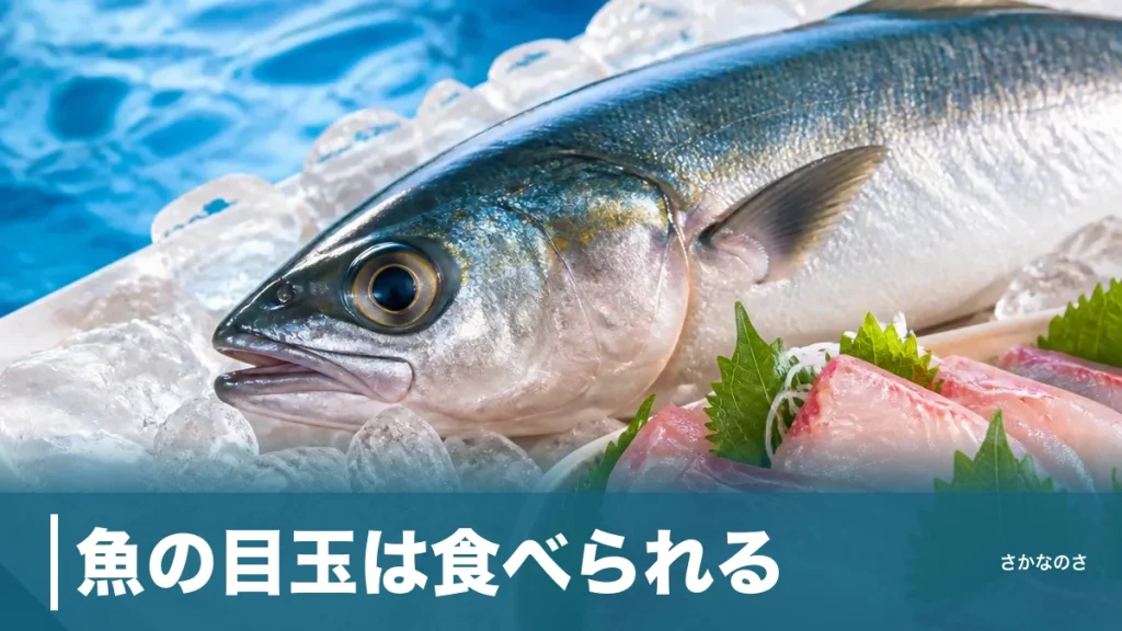 魚の目玉は食べられる？水晶体は球体・視力0.1〜0.4の正体を丸ごと解説のアイキャッチ画像